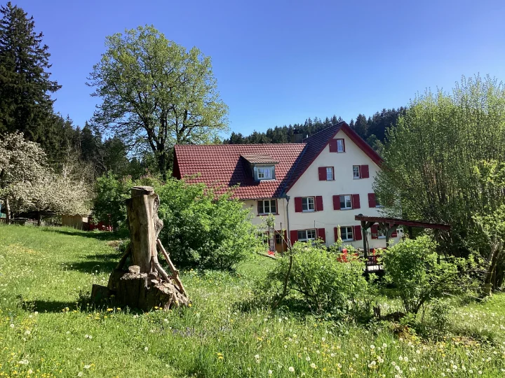 blick auf wiese und haus 20260502