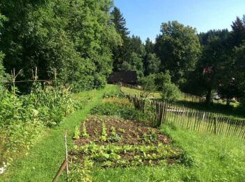 Nähere Umgebung Haus Mandorla - Gästehaus Bad Wurzach - 