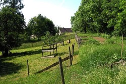 Blick Auf Gemuese 20140705 1266524657